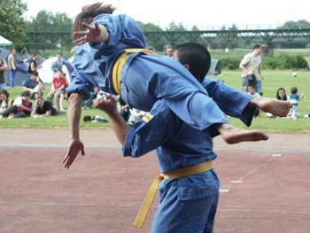 Vovinam Viet Vo Dao